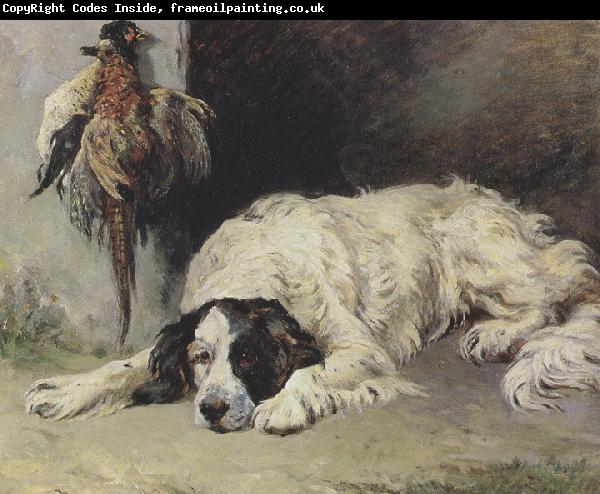 John emms An English Setter at the end of the Day (mk37)